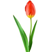 Portrait of a photographer (avatar) Vitushkin Daniil