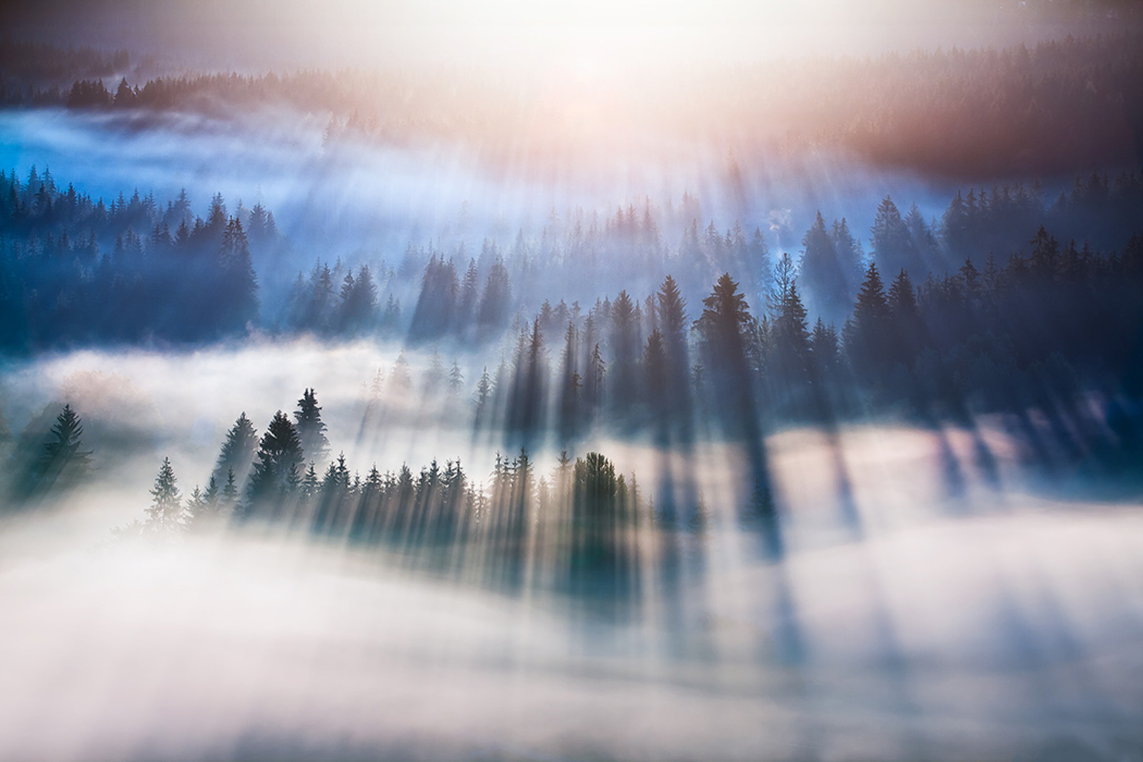 35Photo banner for @marcin
