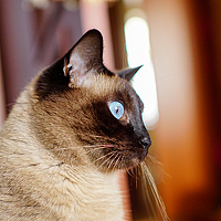 Photo Смирнов Виталий (Vitaliy Smirnov) Portrait of a photographer (avatar) Смирнов Виталий (Vitaliy Smirnov)