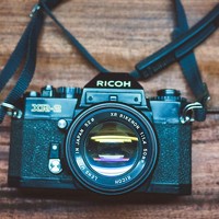 Portrait of a photographer (avatar) Bella White