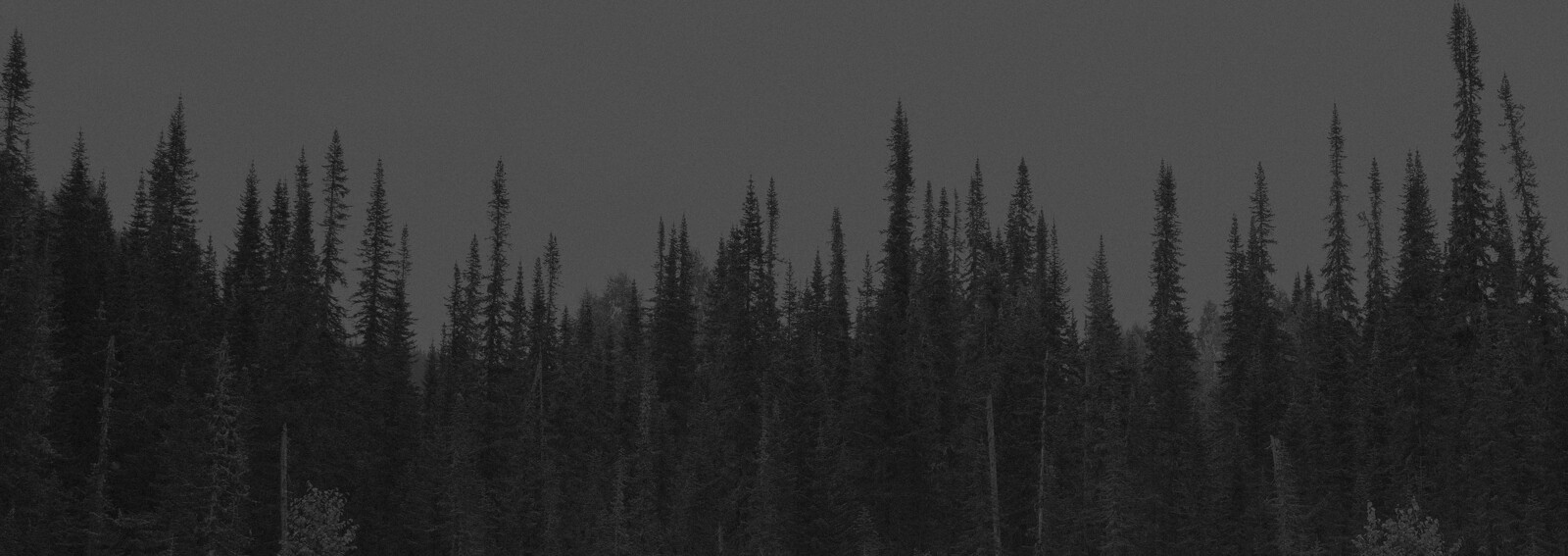 35Photo banner for @myself