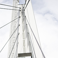 Portrait of a photographer (avatar) Ксения Петрова (Kseniya Petrova)