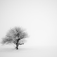 Portrait of a photographer (avatar) Suren Sarumyan