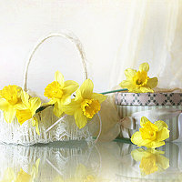 Photo Виолетта Печенкина (Violetta Pechenkina) Portrait of a photographer (avatar) Виолетта Печенкина (Violetta Pechenkina)