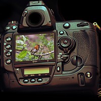 Portrait of a photographer (avatar) Omar Sefouane