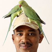 Portrait of a photographer (avatar) Suguresh Sultanpur