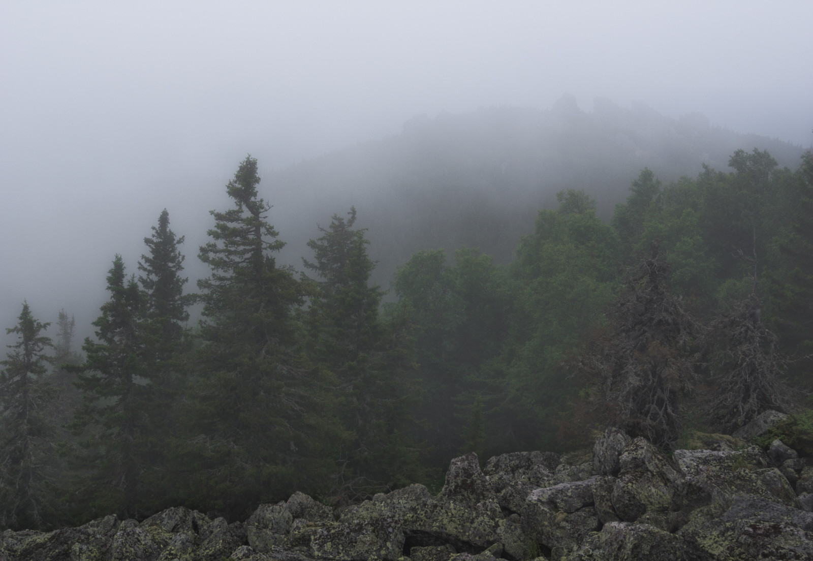 35Photo banner for @napalm