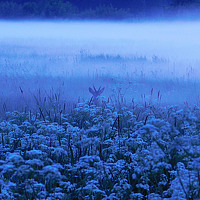 Photo Евтух Никита Portrait of a photographer (avatar) Евтух Никита