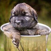 Portrait of a photographer (avatar) Kamil