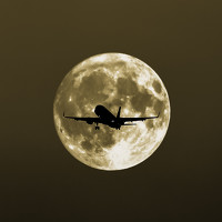 Portrait of a photographer (avatar) Nguyễn Anh Đức