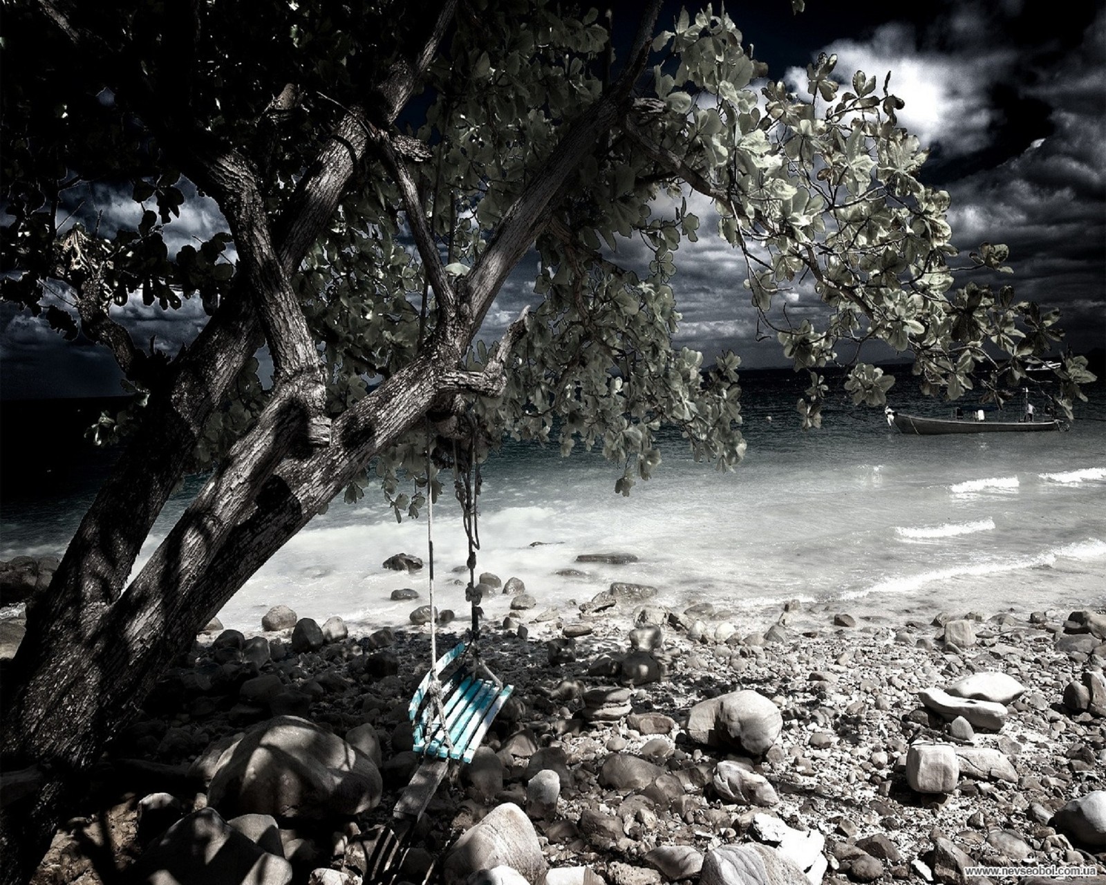 35Photo banner for @arrow