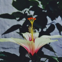 35Photo profile picture for @nabeela