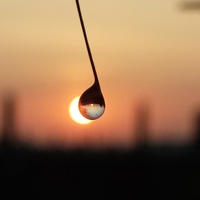 Portrait of a photographer (avatar) Rohan Chougale