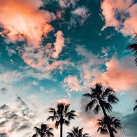 Portrait of a photographer (avatar) Анна