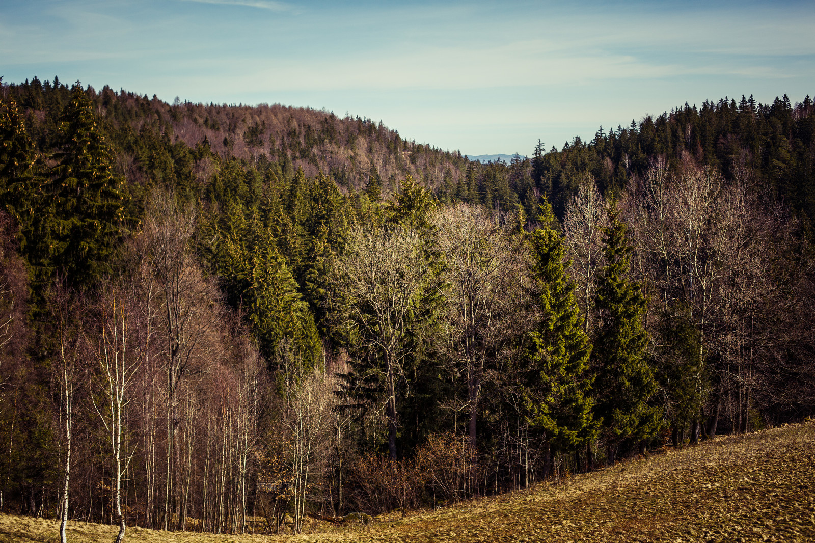 35Photo banner for @heil