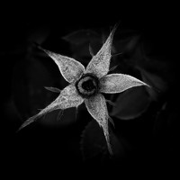 Portrait of a photographer (avatar) Laura García (Laura García Zamora)