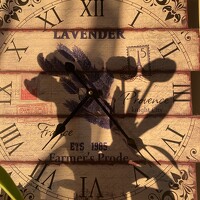 Portrait of a photographer (avatar) kotka