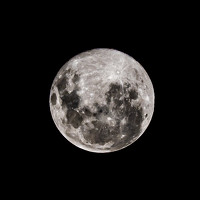 Portrait of a photographer (avatar) octavio martinez