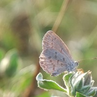 Portrait of a photographer (avatar) Sul Fadly (Fandi)