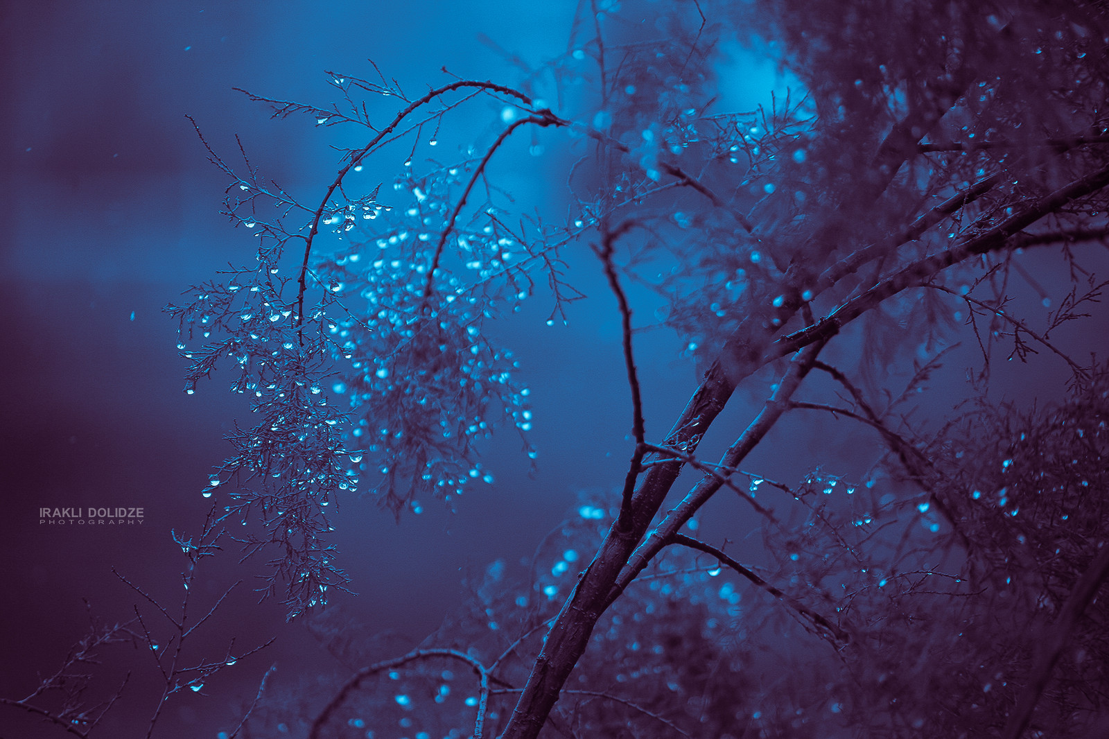 35Photo banner for @spec