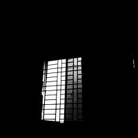 Portrait of a photographer (avatar) Shib Shankar Chowdhury (শিব শংকর চৌধুরী)