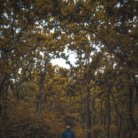 35Photo profile picture for @sabab